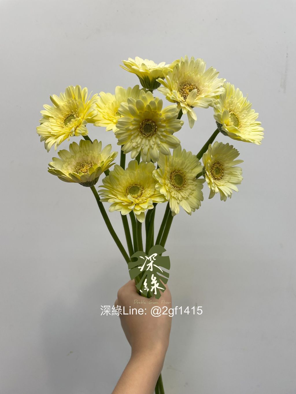 eZy Watermark_07-08-2024_01-27-16-4410下午-1723008584606