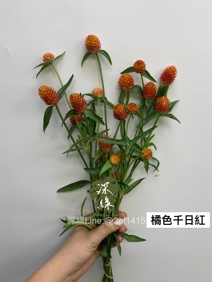 BECF18A0-D40E-4B87-B186-43DB7CAEBF8D