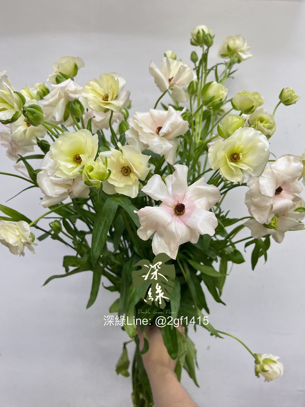 image_FEDFA32A-2281-41E2-B8C6-06B129BCE1E6_1746076723