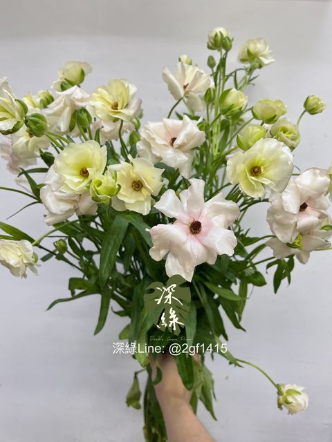 image_FEDFA32A-2281-41E2-B8C6-06B129BCE1E6_1746076723