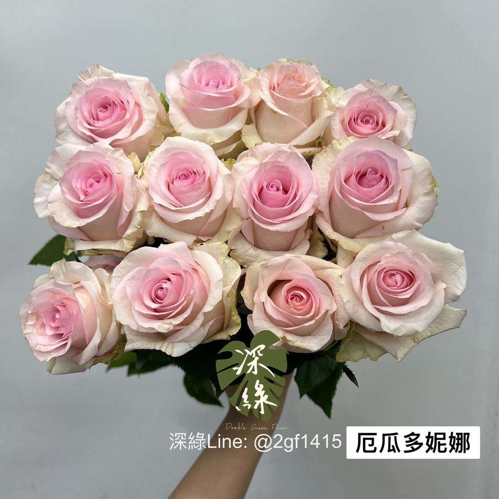 S__5046300