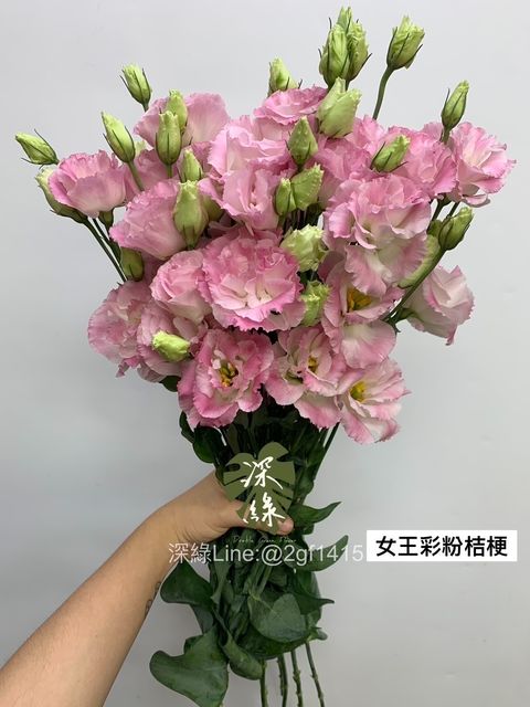 image_3212AFE3-BA31-4A84-907E-07C83A88A85A_1746885301