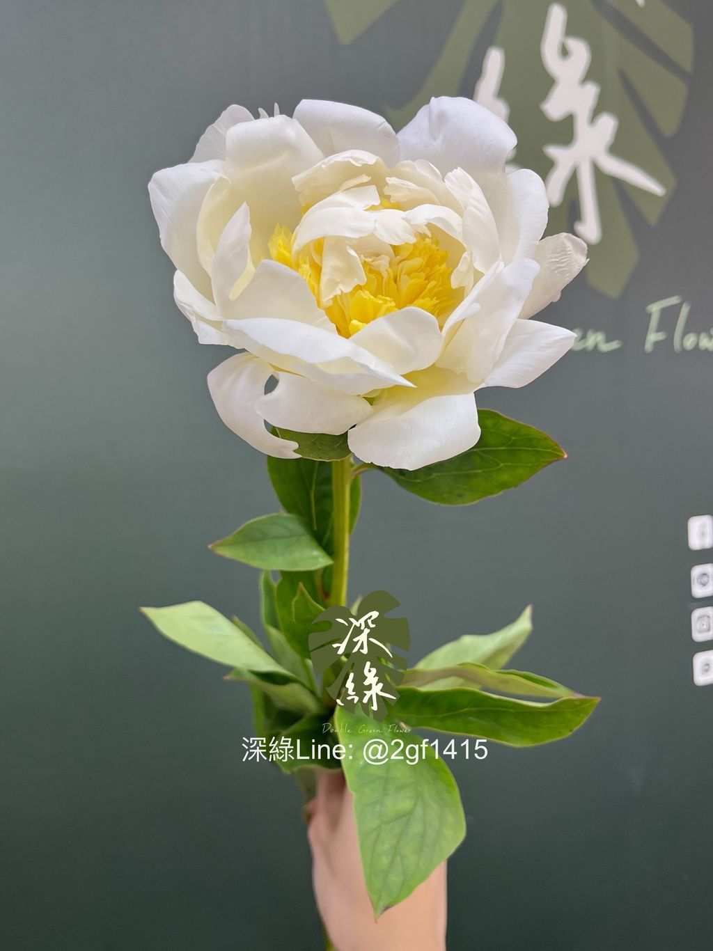 image_502FC9BC-3A77-4FFA-AA7B-7509483CBF76_1747018902