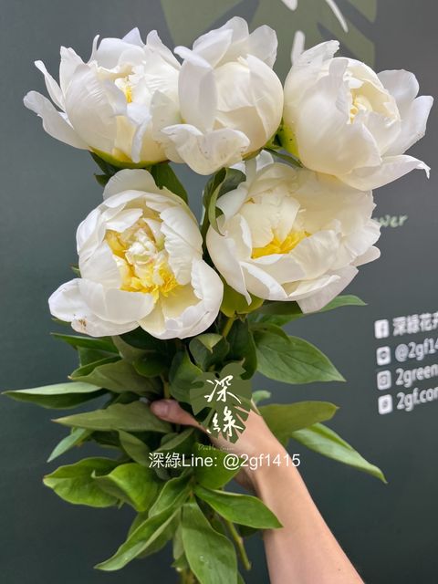 image_6AB32363-65A1-4C06-B70D-57991DB031E3_1747018902