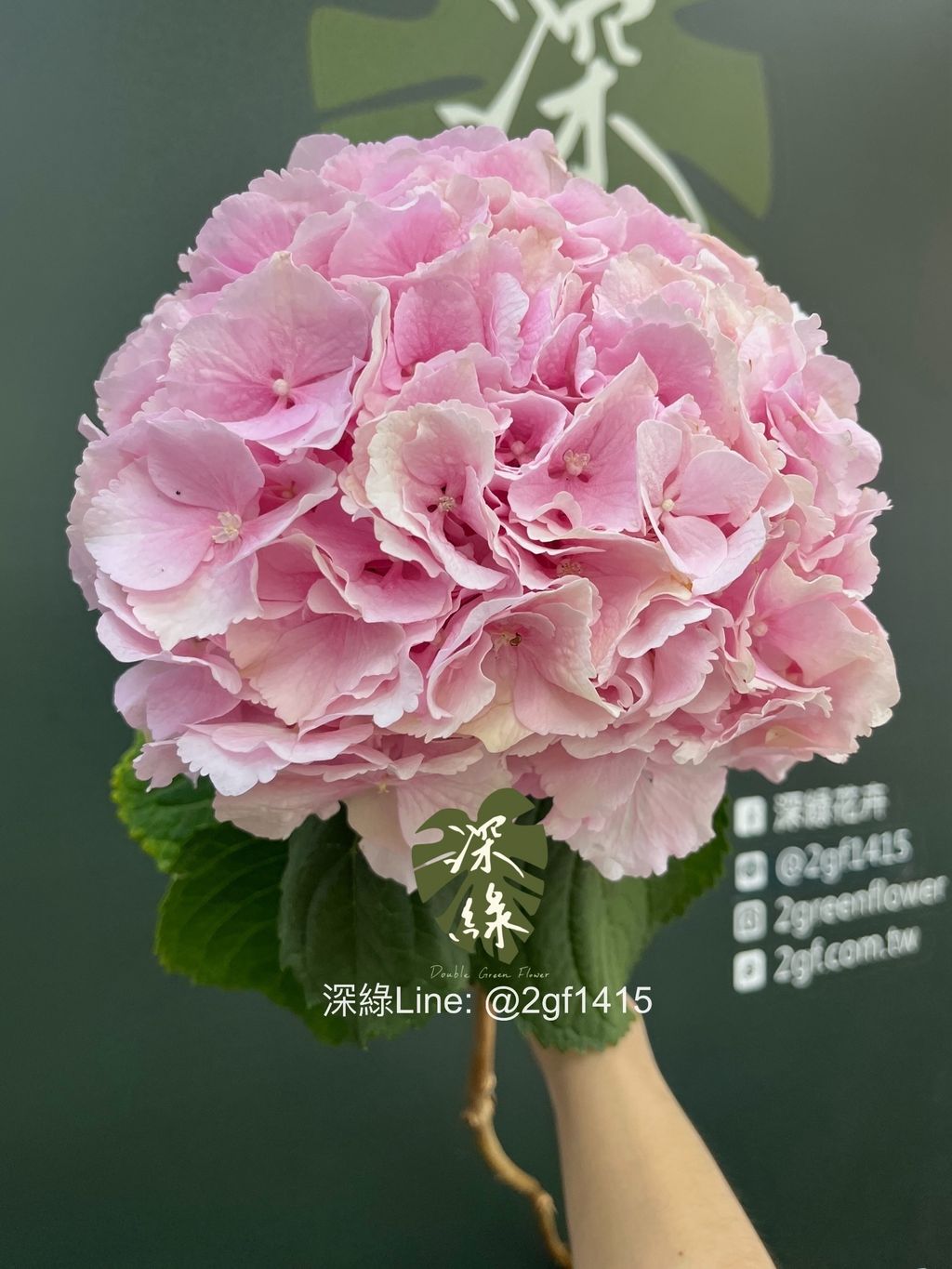 image_1F2A9F26-E27F-48CD-91FA-4AE16CD41066_1747019693