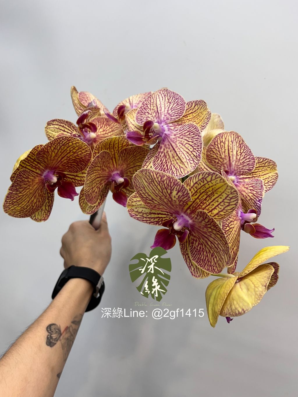 image_B9DE2019-6168-4C1F-8C90-FD2E9B08C35D_1747446520
