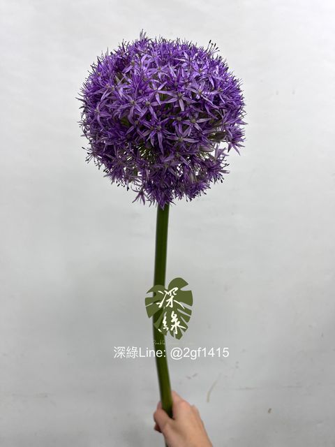 image_4649A9A0-52C9-465F-A13A-09E714EF8675_1747660083