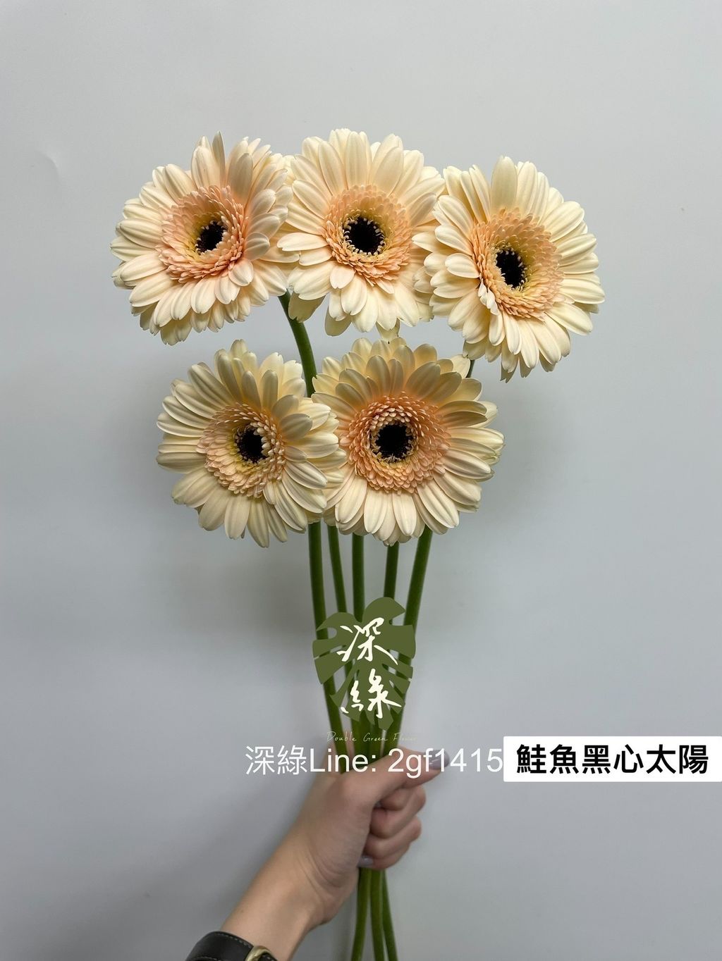 C8C4D430-6CE9-45F0-A874-B309C3FD1248