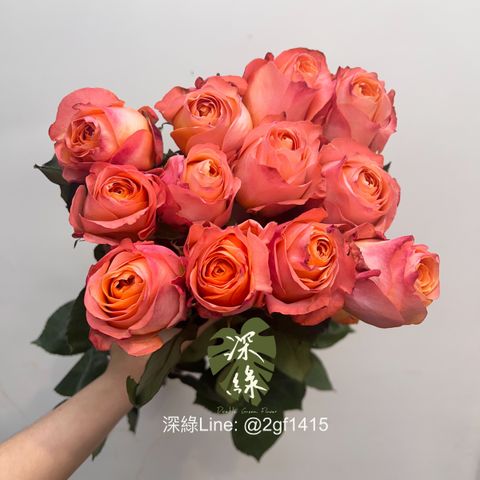 image_AE19AC0D-7153-4141-AF4E-97E50C9B4035_1748234974