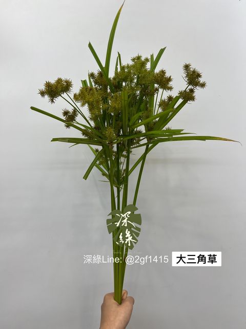 IMG_2261-1715679481127