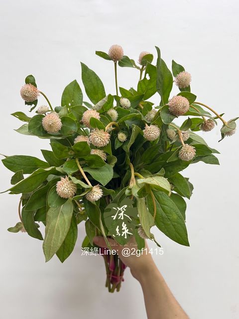 image_5A4D684D-8739-47C2-AFC8-2BFAE6760FED_1748324446