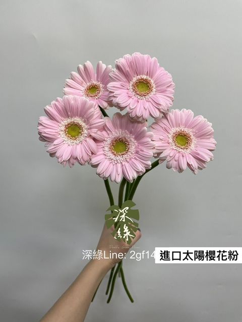 a540e0cff79c80d361e0d46fd95be473c90dbc9b