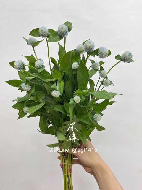 messageImage_1748745642119
