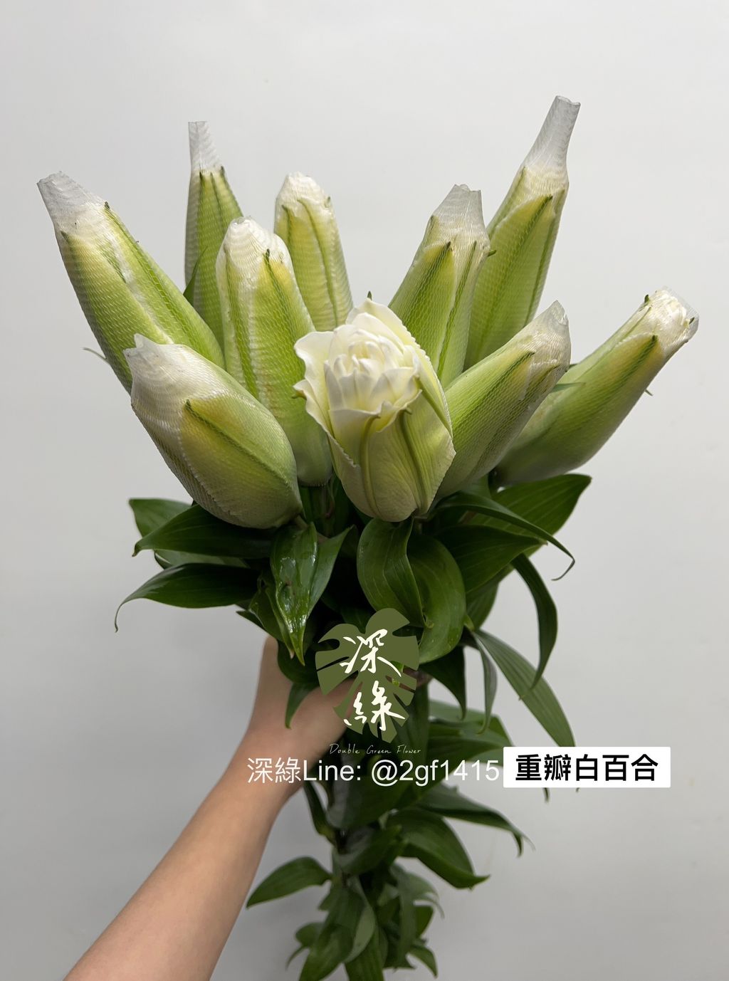 S__4759635