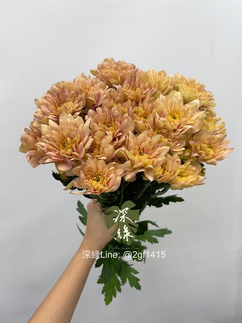 eZy Watermark_19-07-2024_11-17-28-9690上午-1721359413857