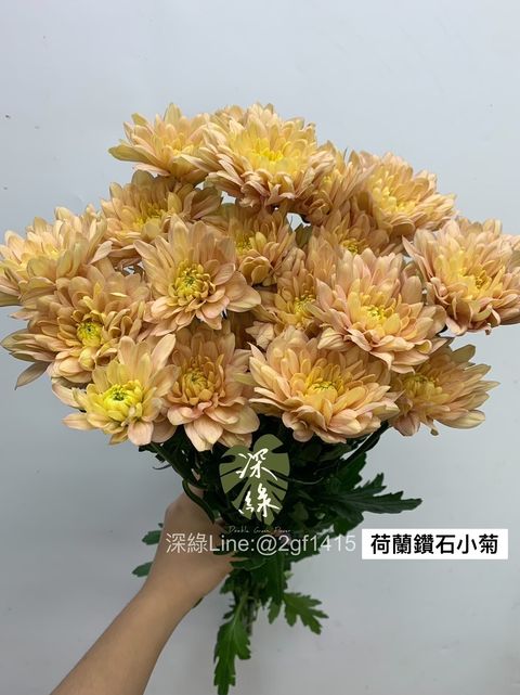3A62F25F-BC56-4447-B72B-0F90A30907FE