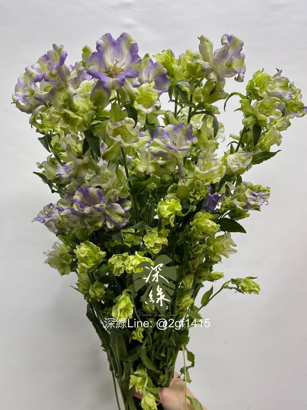 image_D54E0489-CE20-43EF-AEE2-4F08CF7D8D07_1748842213