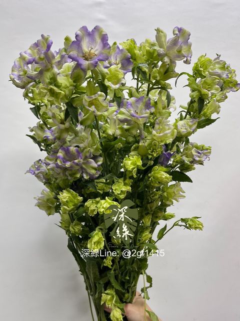 image_D54E0489-CE20-43EF-AEE2-4F08CF7D8D07_1748842213