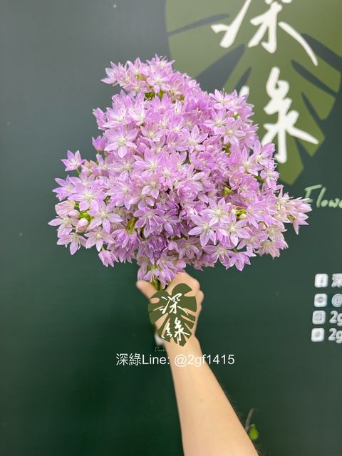 image_3A08C408-7748-402D-B9F3-E996FE918E69_1748842312