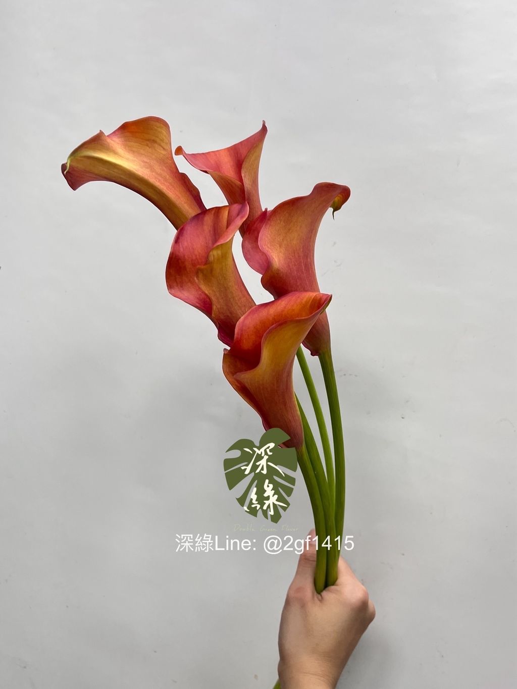 image_9112D2E3-0AC3-4C8B-BDD4-D7ED57BC56BF_1748842477