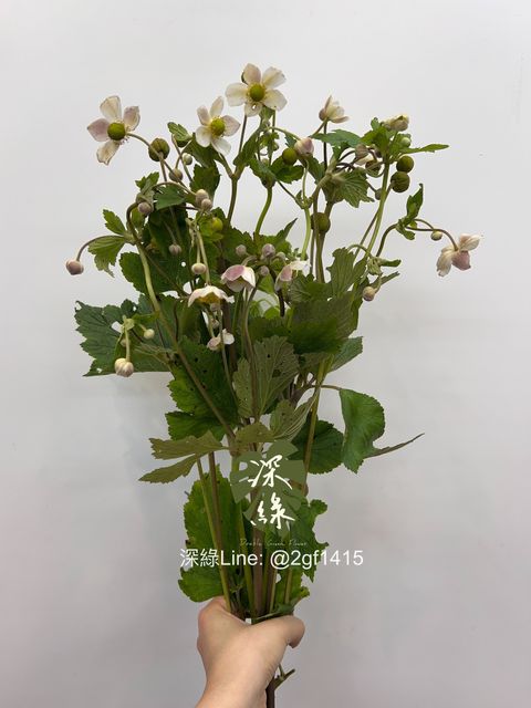 eZy Watermark_05-06-2024_02-08-20-4880下午-1717567904569