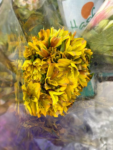 image_A9D02539-328A-42D5-9242-2A47125D545D_1748858213