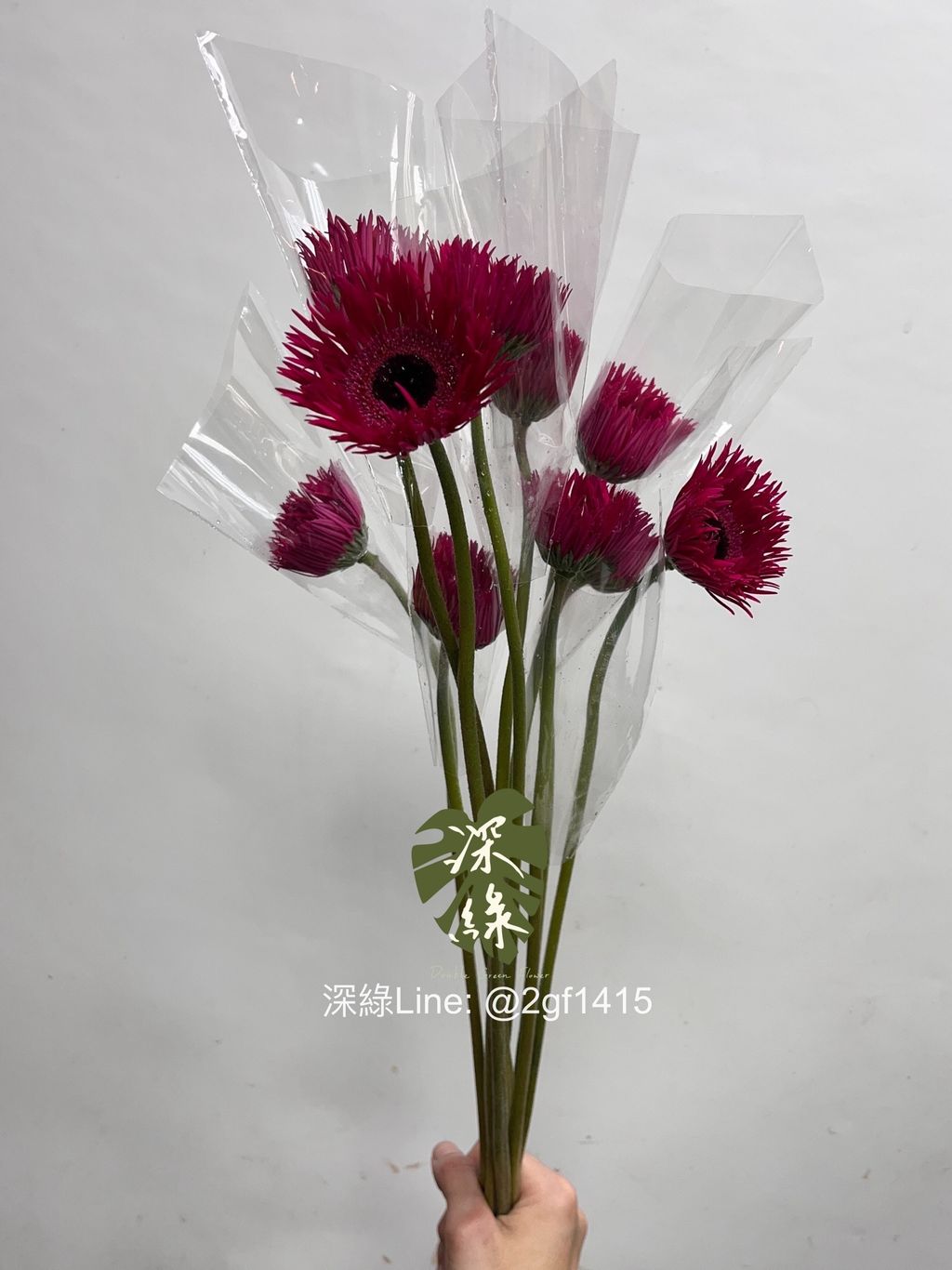 image_0C731130-CBB9-4C85-BDB3-DAD6334F51C6_1749016851