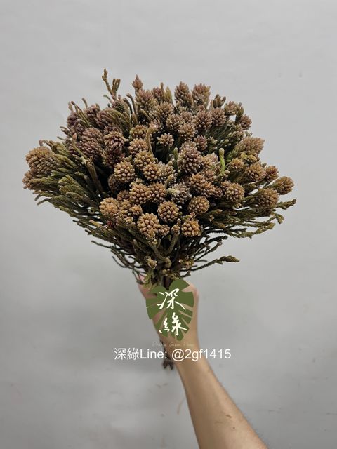image_2B78E10C-D1B6-4F9B-8A8F-47B40352C6A0_1749444255