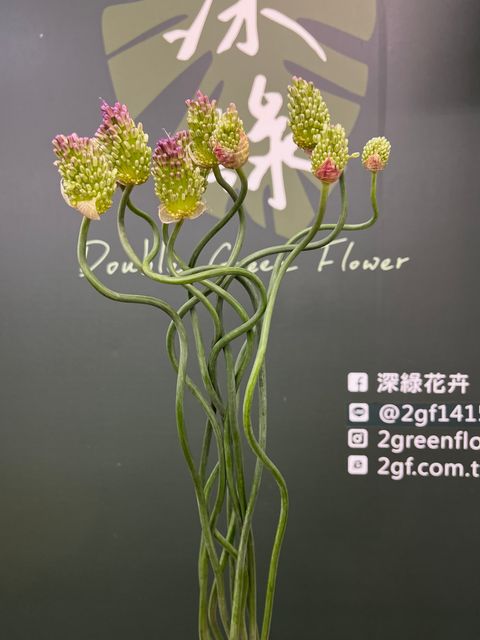 image_DA731209-210F-43F2-AD9D-0C29B2B01AE5_1749529079