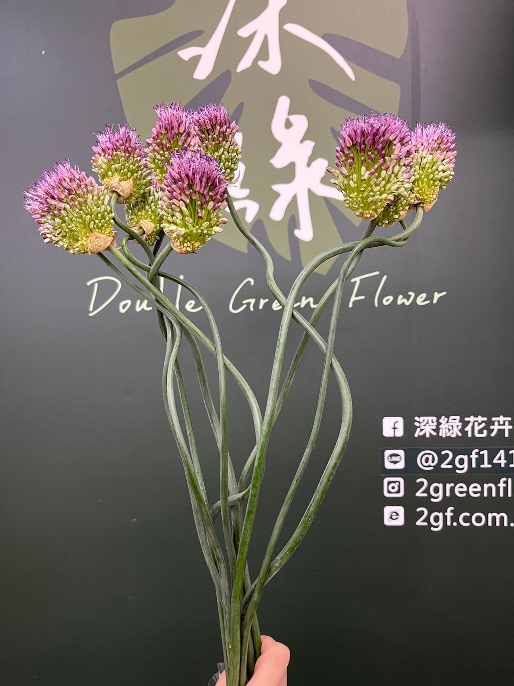 image_24B6BD2E-EE7F-4780-99A6-084B40026B28_1749529114