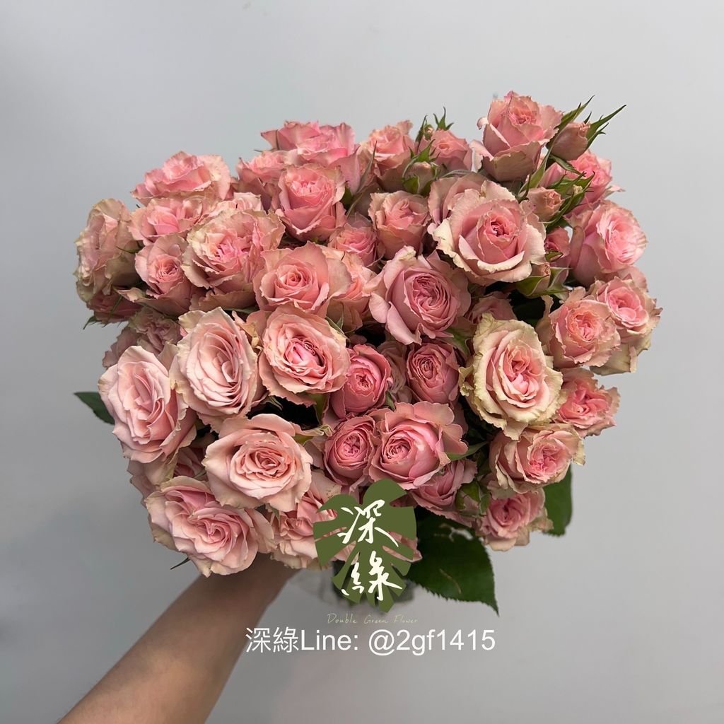 image_968A05BD-B597-4A25-8CA8-1DE69F987083_1749732186