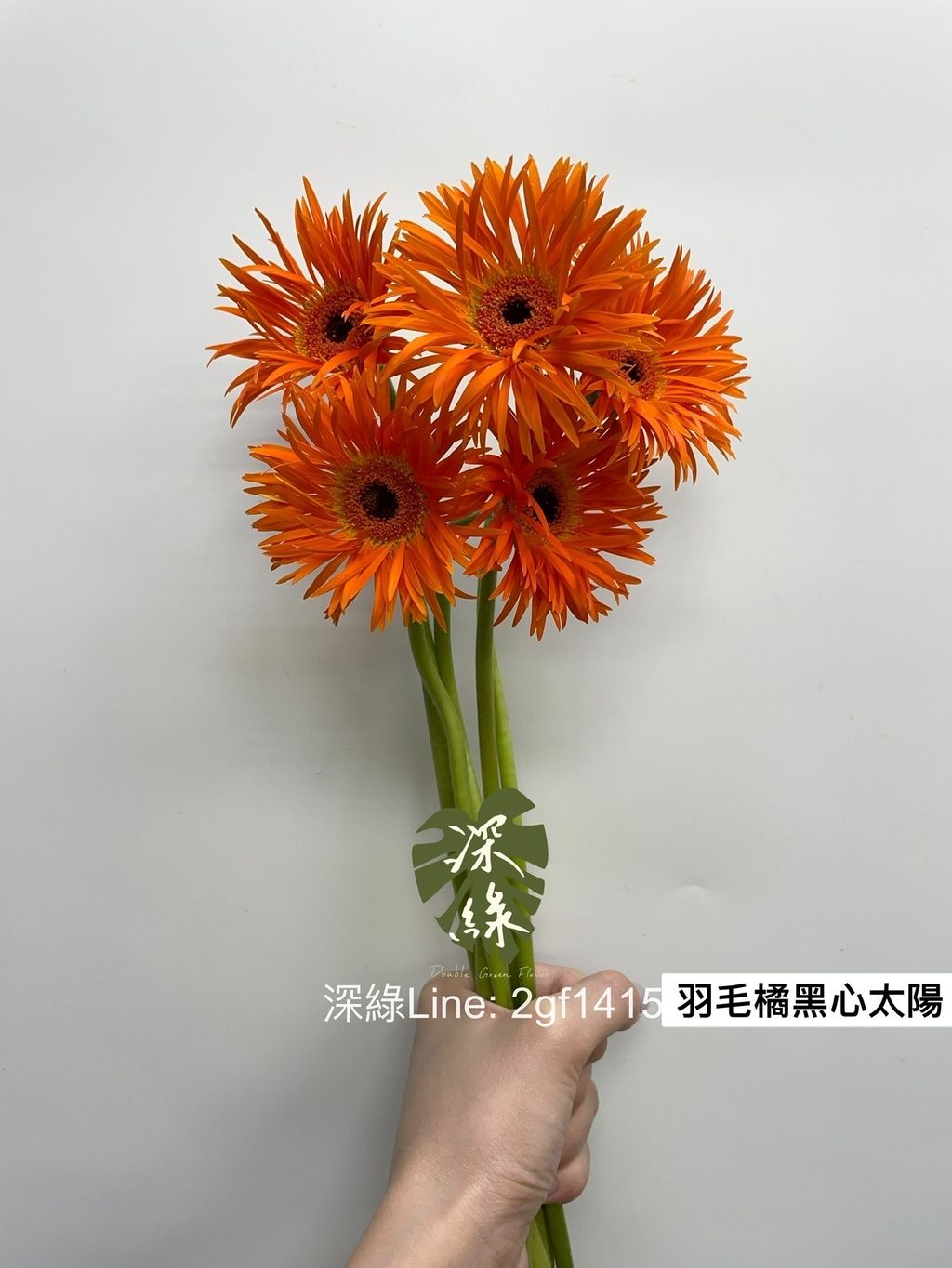 image_32F345B6-BCF9-454A-AF68-B9FB5D3223C5_1749964989