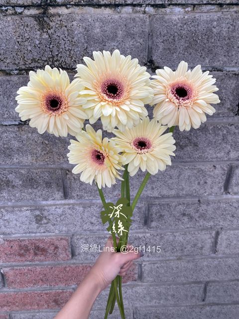 image_725C8629-E058-4568-A5AE-8C2794A96A54_1750068782