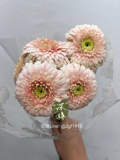 image_DA87BDC2-BFA8-47AE-9AD8-CD04D05CE962_1750126665