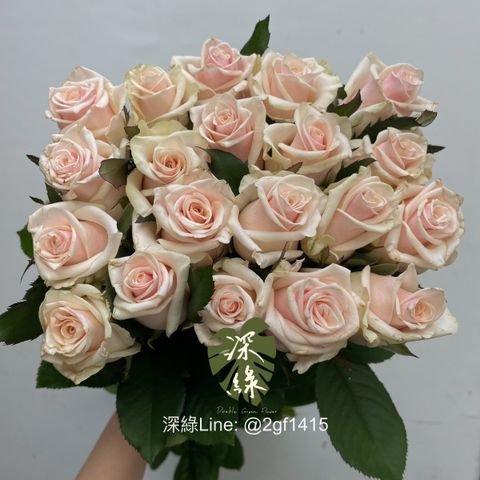 image_30156BE3-69BD-4F61-B58F-F401F4D712D5_1750126837