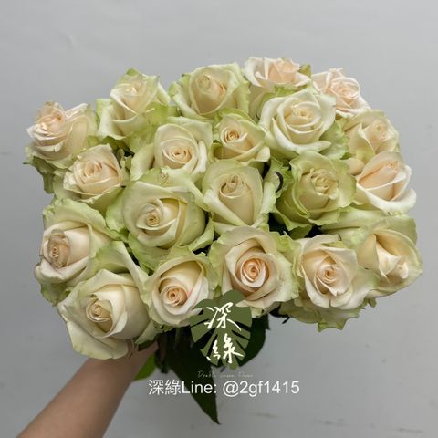 image_3BD24718-F3F3-4631-9B3B-580DCBCC90B9_1750127291