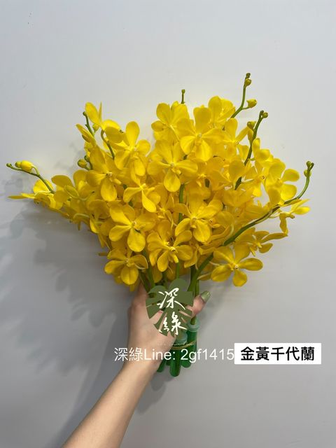 image_3C7A01C2-00B5-4290-8E04-196579231F0C_1750133758