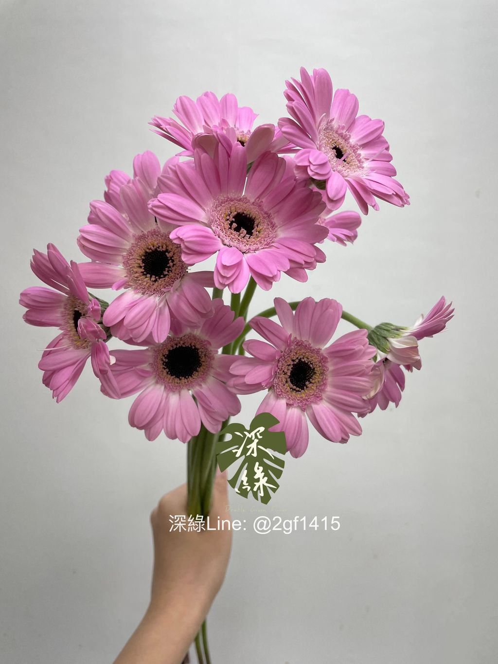 image_7898953F-9634-4CAC-B68A-925C99DBB85F_1750220664