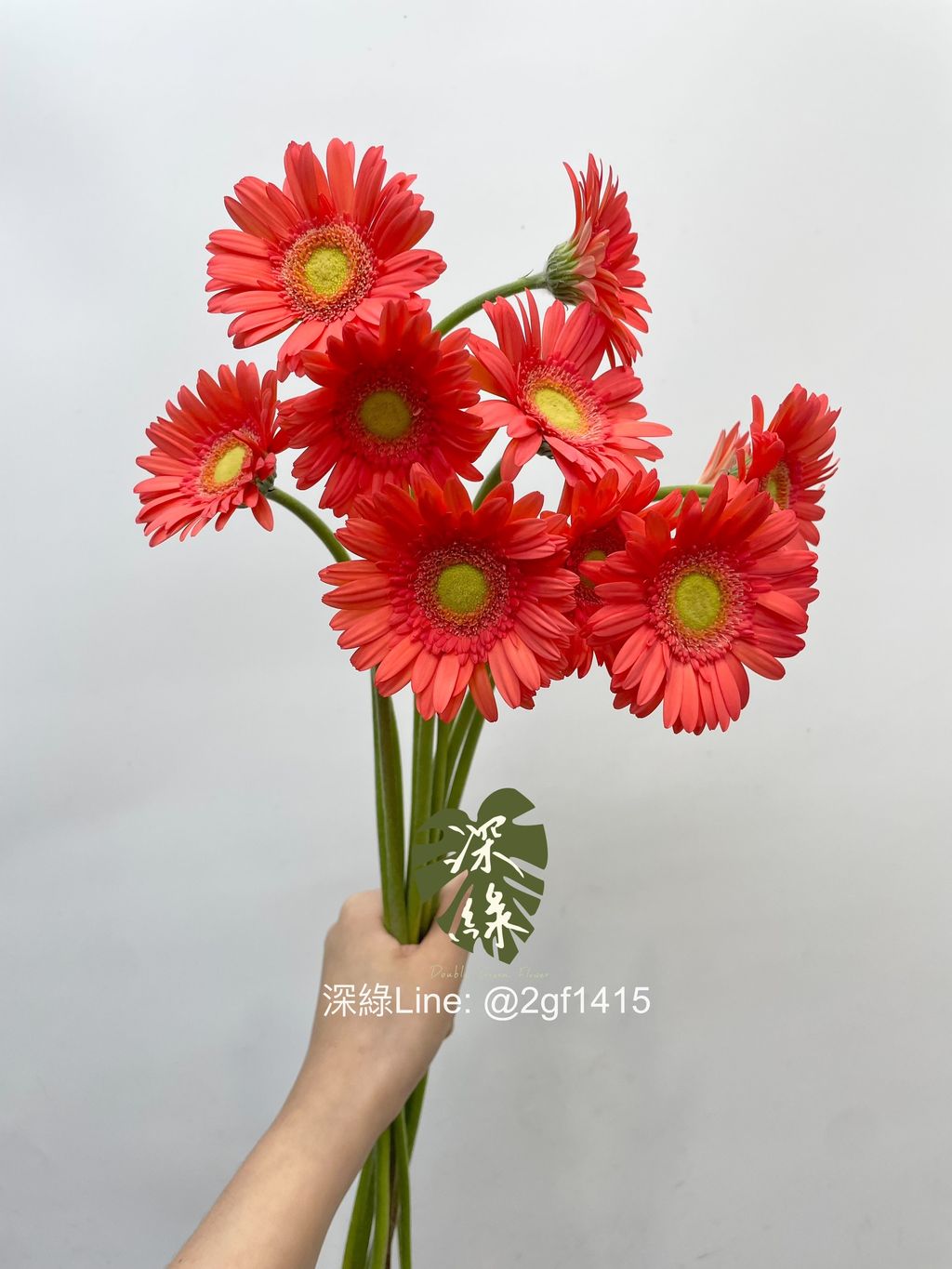 image_ECF072A0-6ED3-4750-BFC3-B8E39B6B540C_1750220893