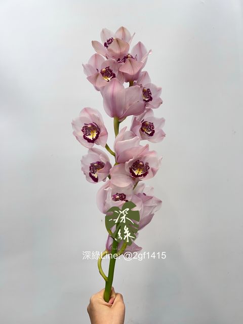 image_1F661428-4C4F-4071-97D3-98B38577987A_1750307614