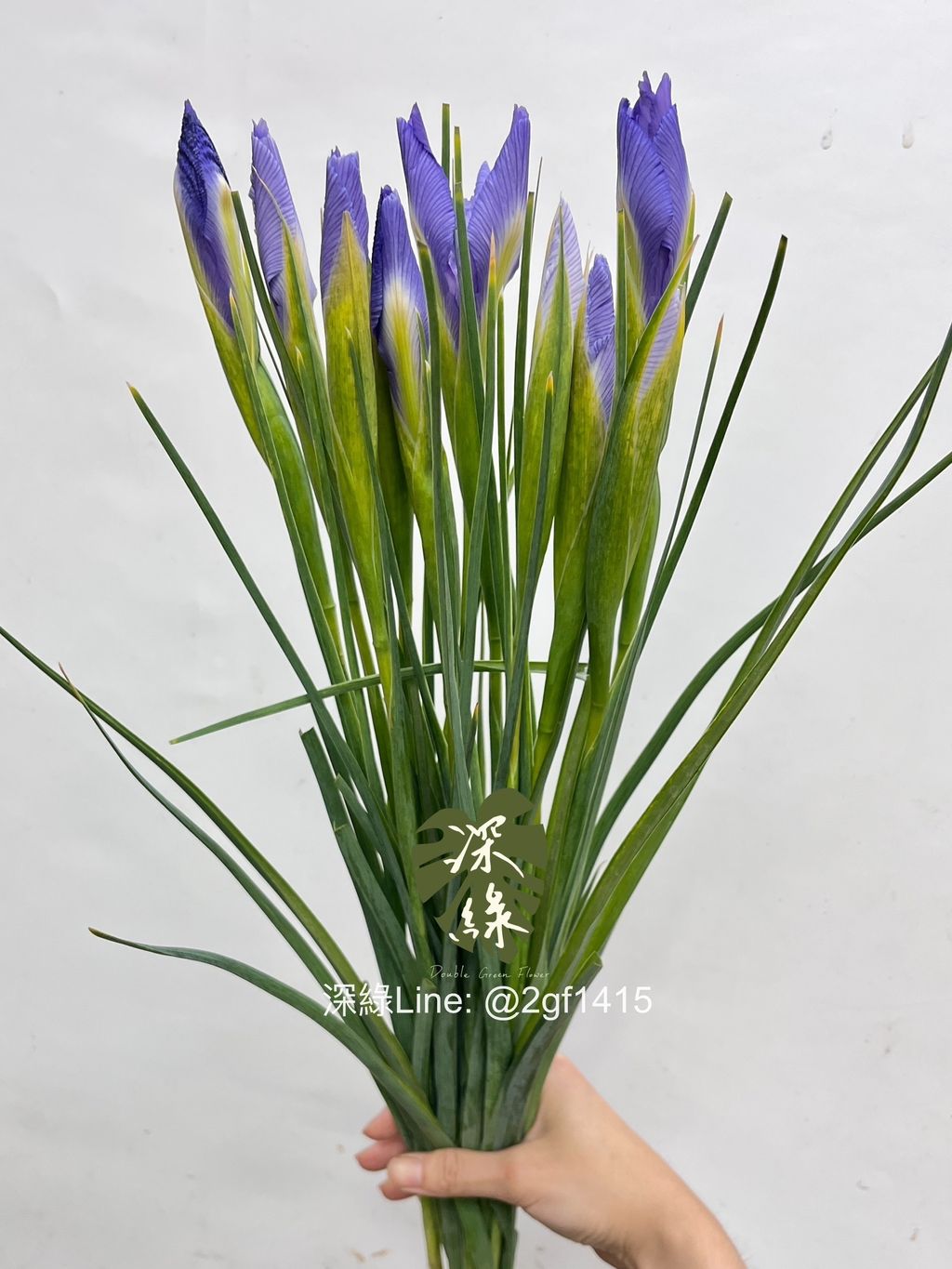 image_E23337F4-5BCE-4F1E-90A1-678423C88857_1750317408