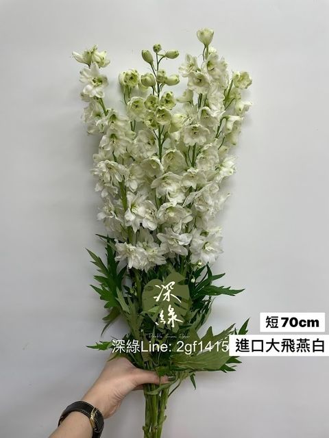 AIL4fc9qHAXPME580ZNl51LyG1QwguHbUbD-kKU4xDU7RqV54kJURztI28pf1CsXCmMuPmOXP0GAKp-aW2I60JcQbknWuA3lEHJ7OLy0LmRv3zE6mEBscqZ4PtQqwLi8CcCyidne5WYSzyoPUHAGU26GAy6C=w634-h845-s-no