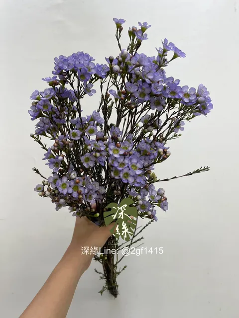 image_10294873-98D6-46D9-9D42-5164F0384ACA_1750652700