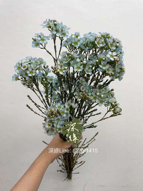 image_358AE7FB-8049-4663-BB5E-BD48756D3EAB_1750652719