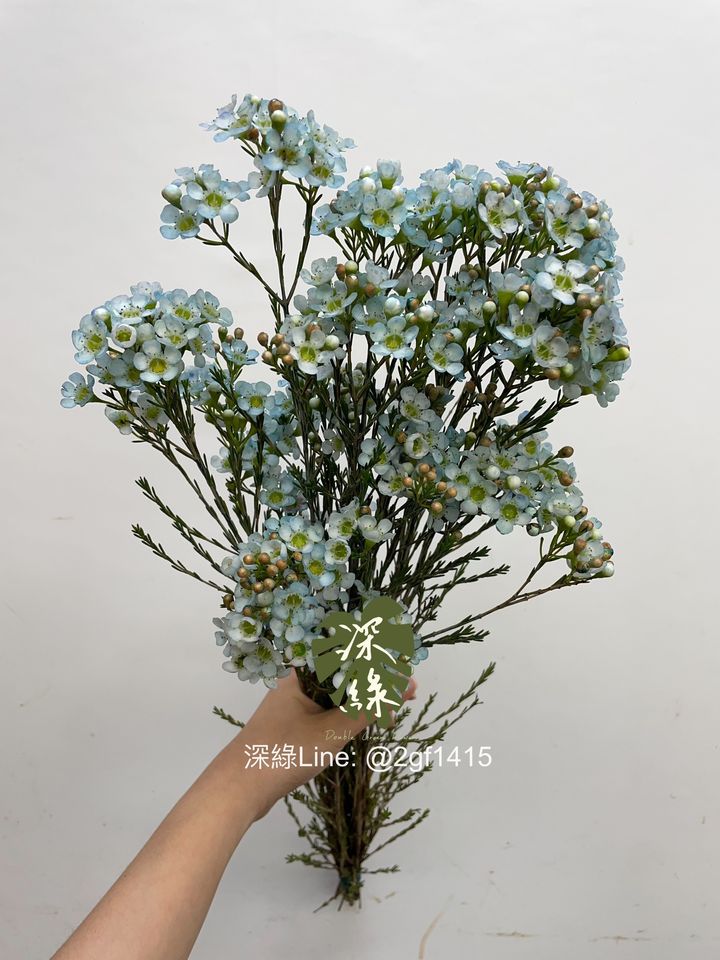 image_358AE7FB-8049-4663-BB5E-BD48756D3EAB_1750652719