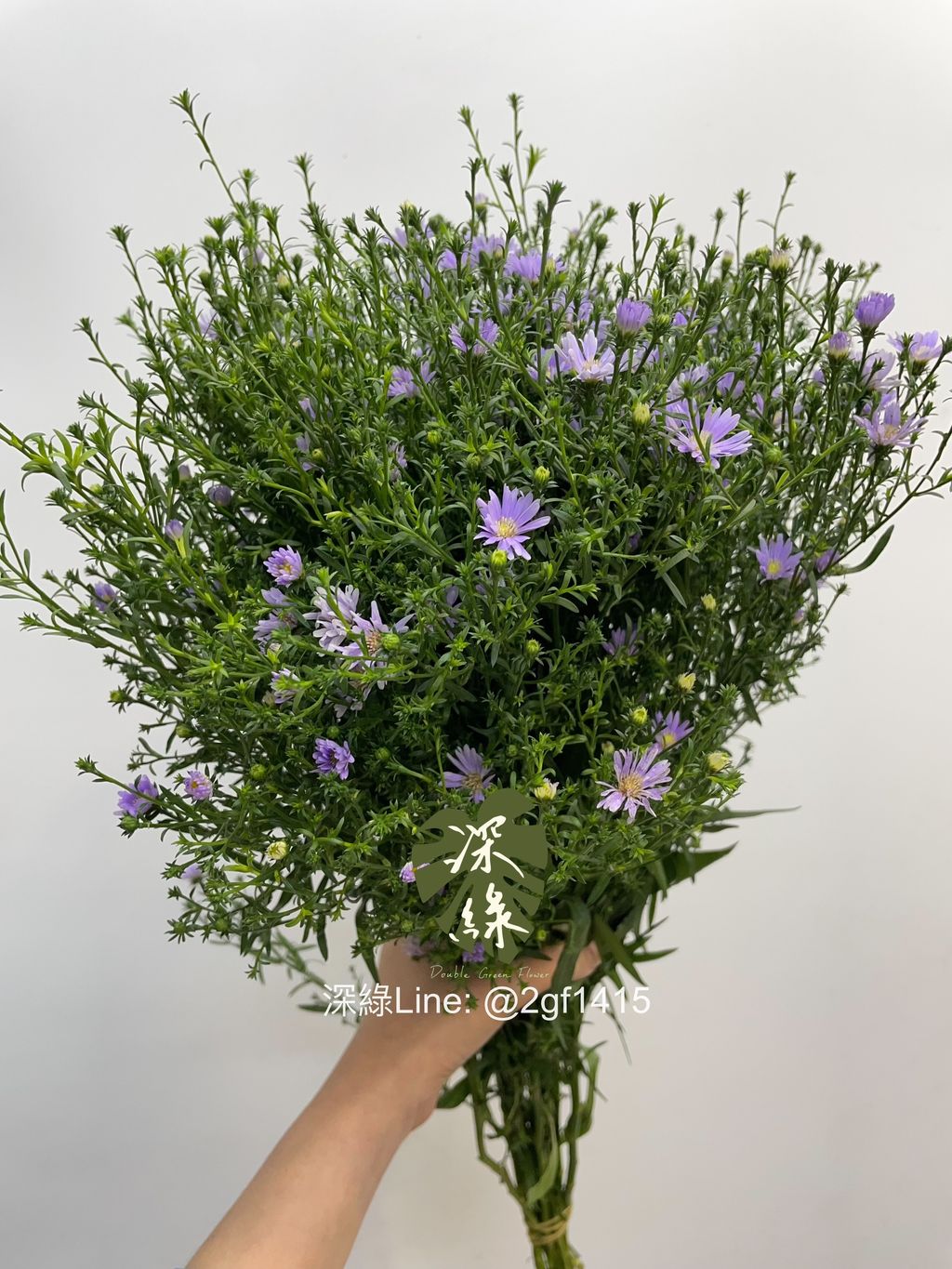 image_FD1BAE2E-13D2-464B-8B18-22F3F9ABFAEA_1750738148