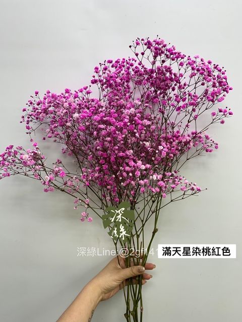 image_9269F210-48FD-4AE9-9E6D-DDE8D1091D03_1750643983