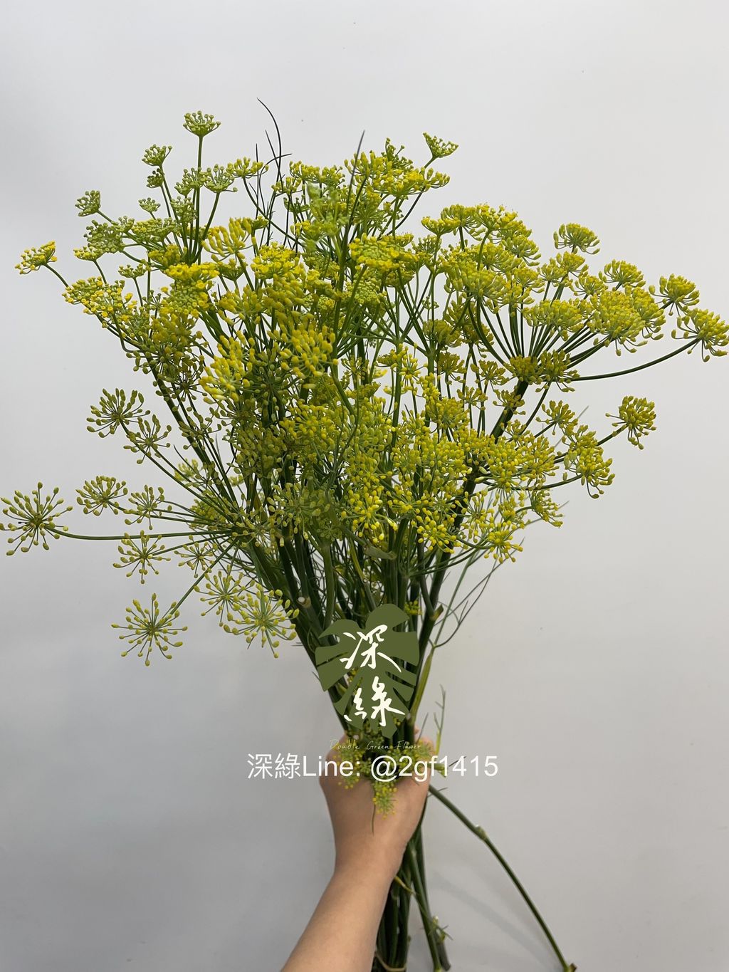 image_3F9B0943-DA1F-4A03-911C-E6B70272D2E5_1750738002