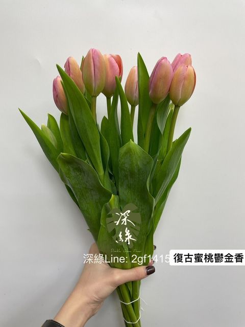 7f64999c227d5a66bacb2be54ac3ae211c29d484