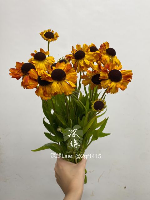 8AF9DAF2-FB2A-4301-81BD-F6965B04D327
